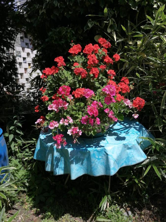 Ferienwohnung Roth Am Naturschutzgebiet Bodensee Eriskircher Ried Exteriér fotografie